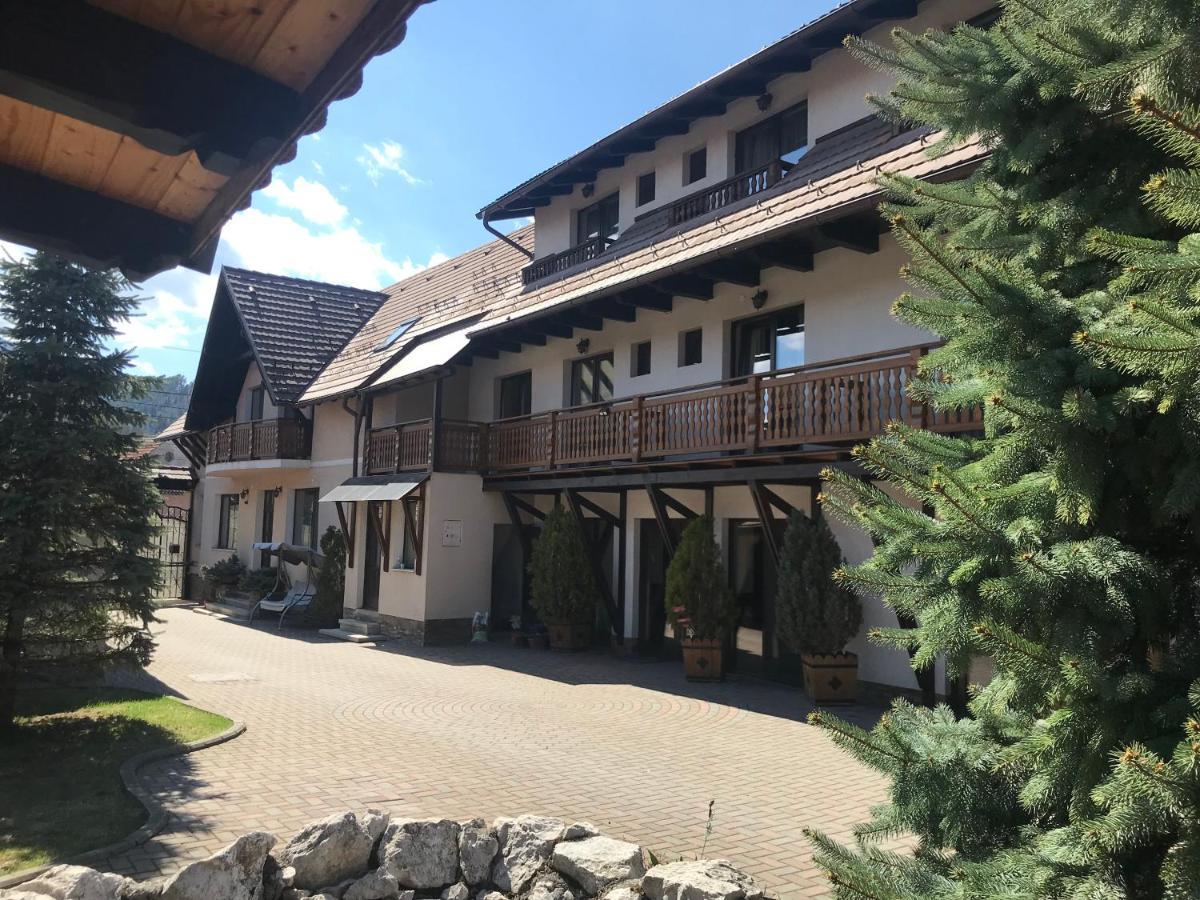 Pensiunea Haiduc Sacele Brasov Exterior photo