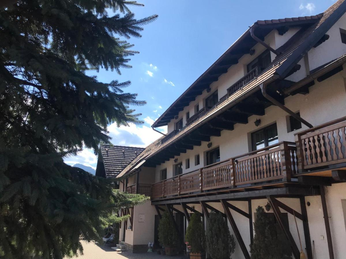 Pensiunea Haiduc Sacele Brasov Exterior photo