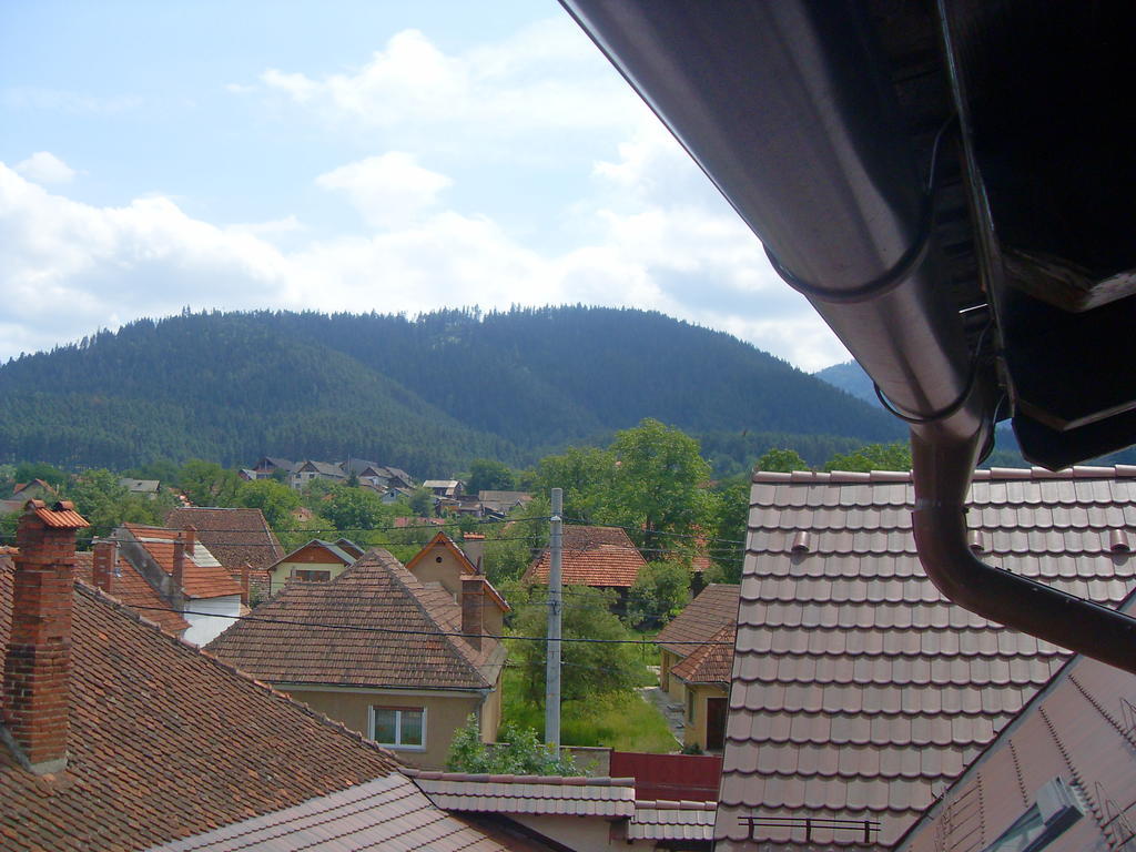 Pensiunea Haiduc Sacele Brasov Exterior photo